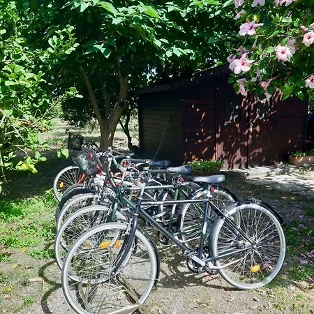 דירה Lodato Capo dʼOrlando